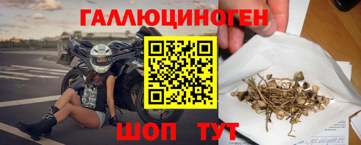 Галлюциногенные грибы мицелий  Вход с VPN  Волжск  Галлюциногенные грибы Psilocybine cubensis 